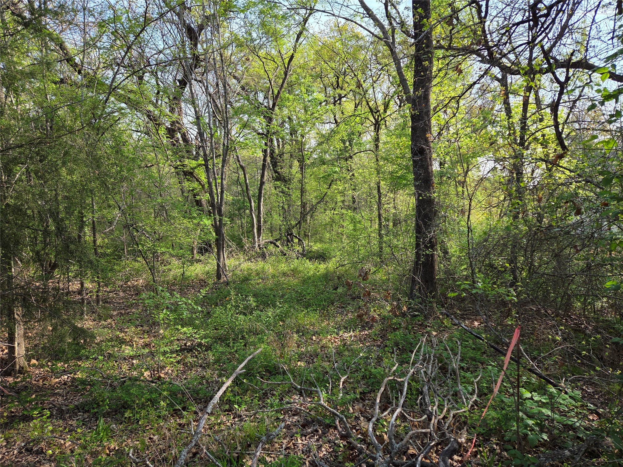 Lot 97 Tonkawa Trail