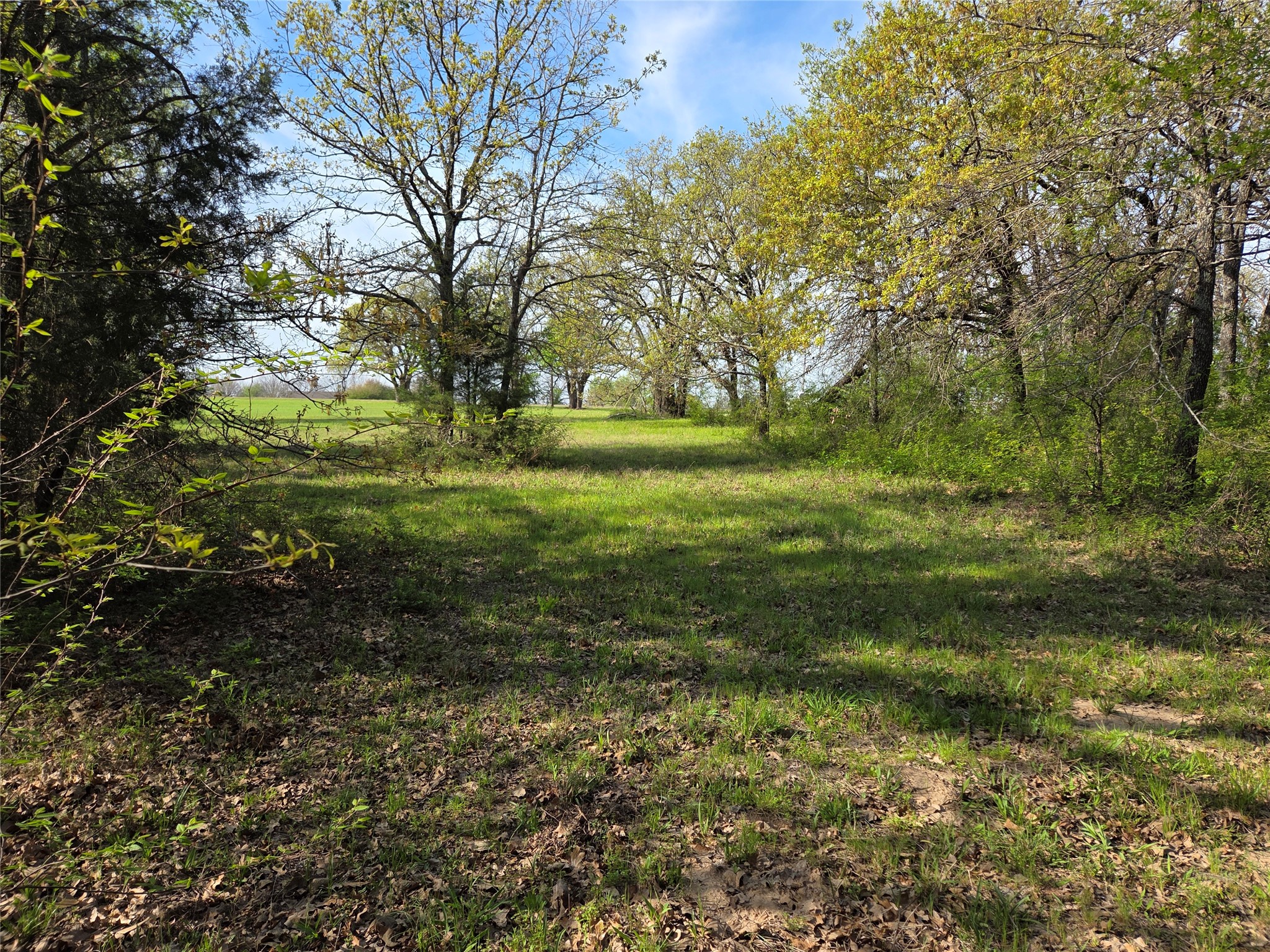 Lot 97 Tonkawa Trail