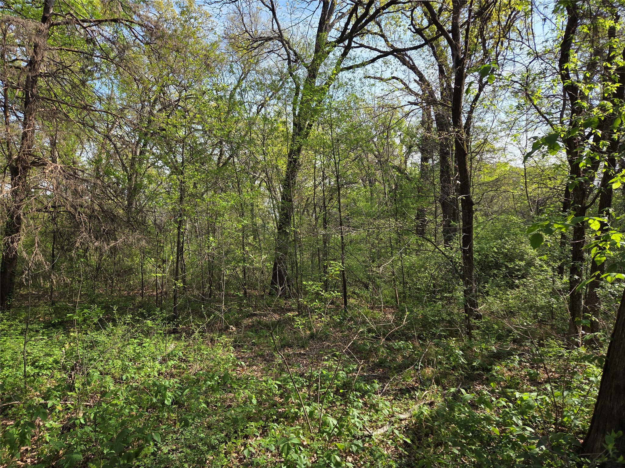 Lot 97 Tonkawa Trail