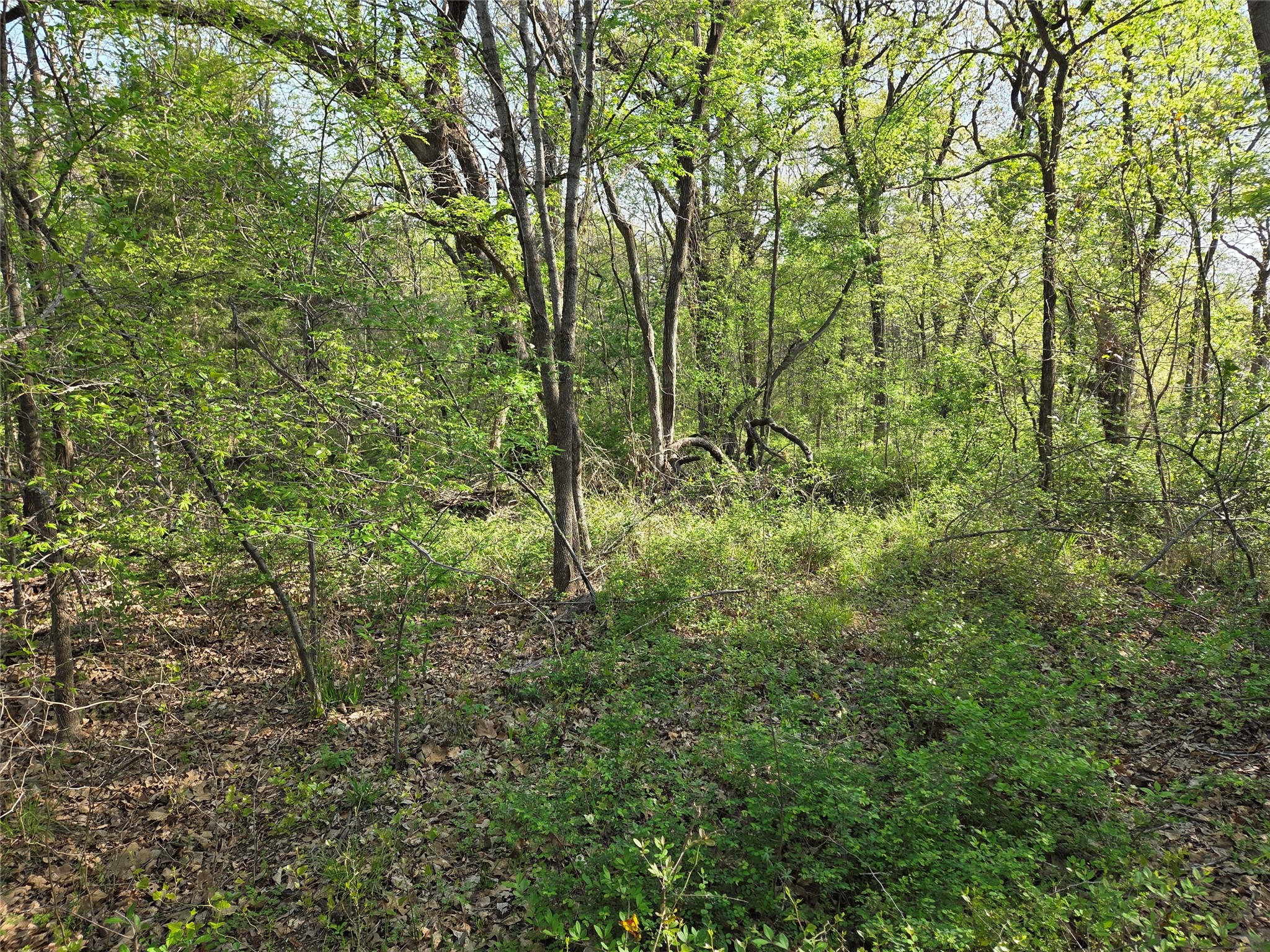 Lot 97 Tonkawa Trail