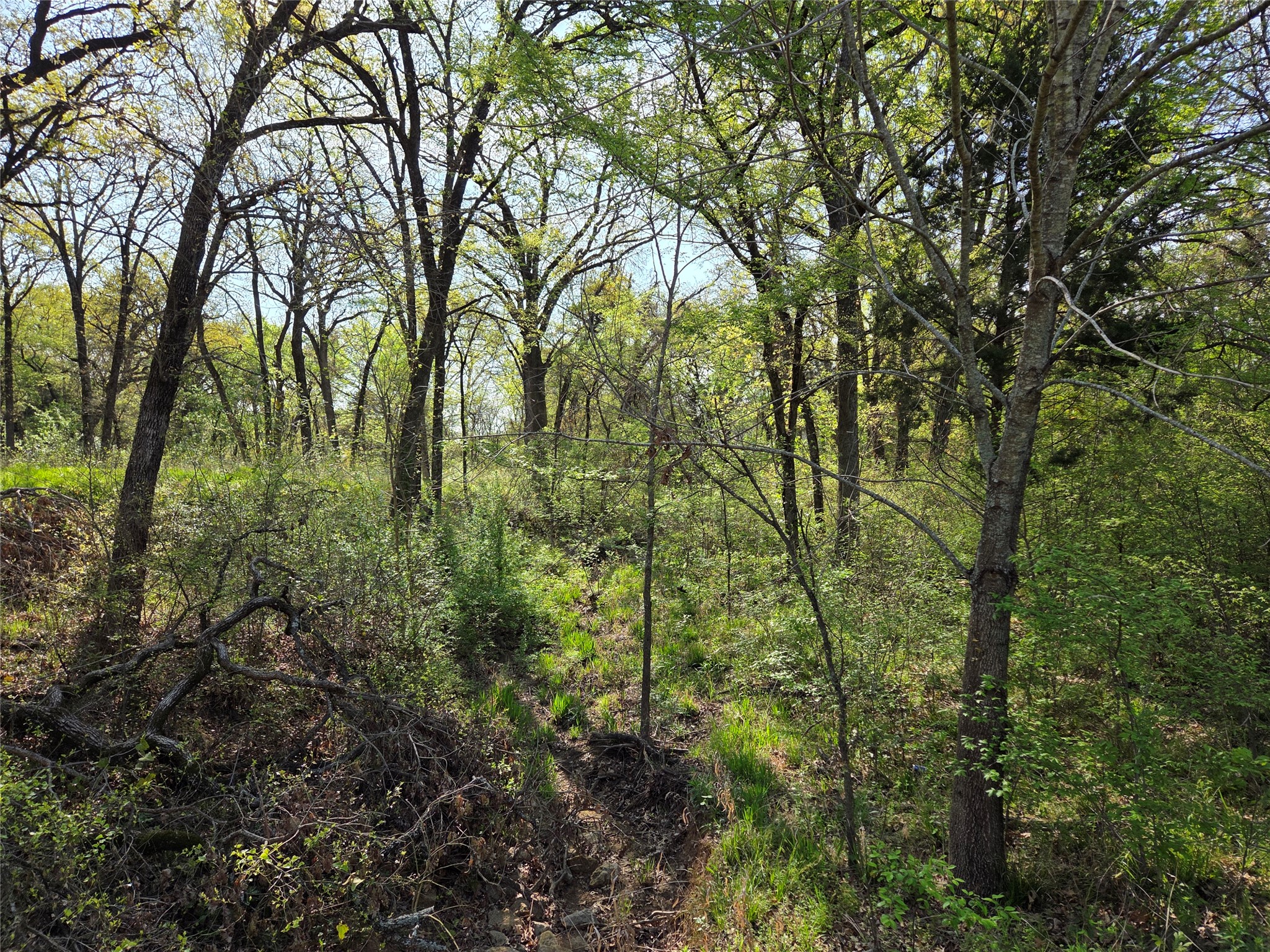 Lot 97 Tonkawa Trail