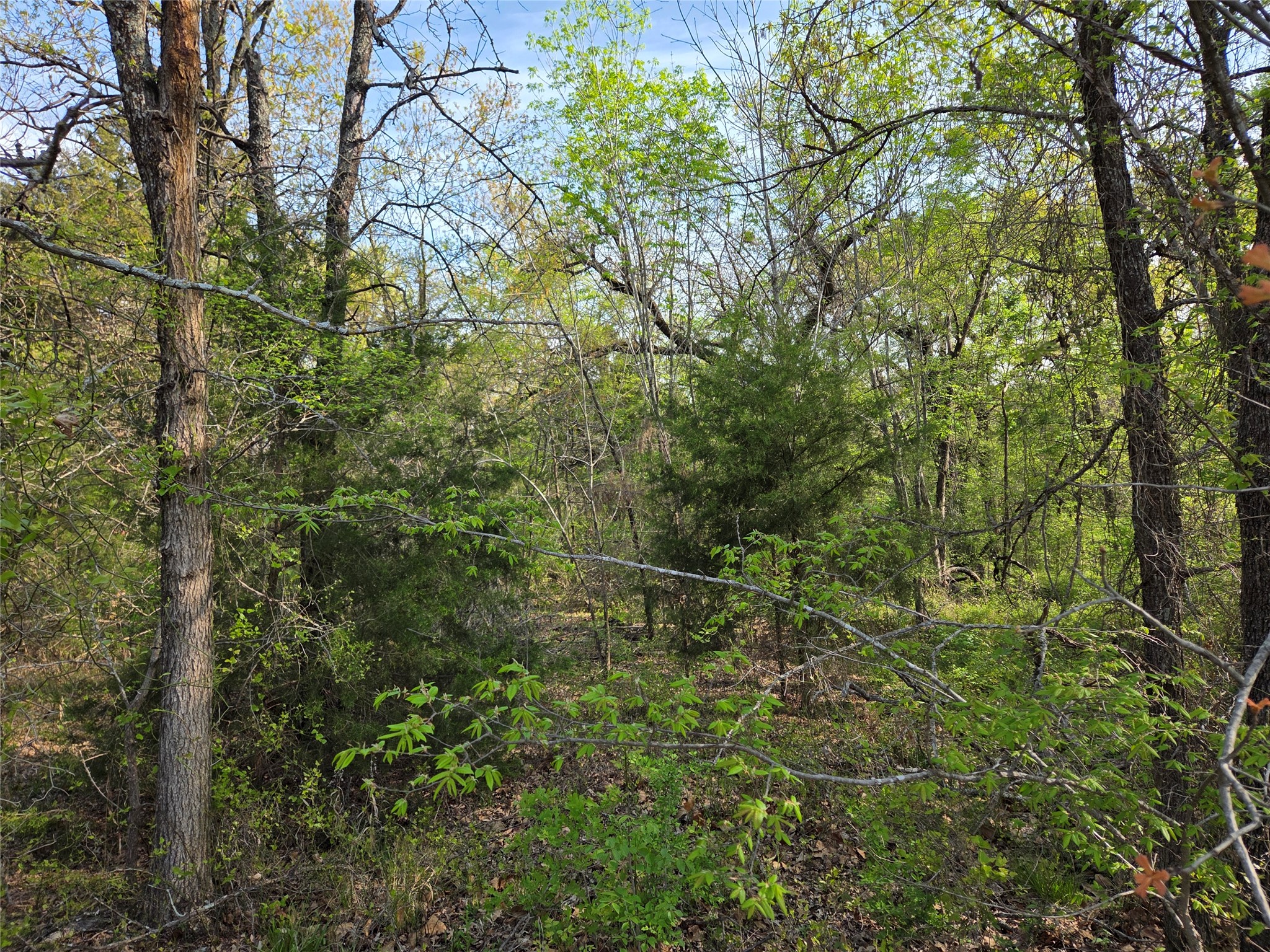 Lot 97 Tonkawa Trail