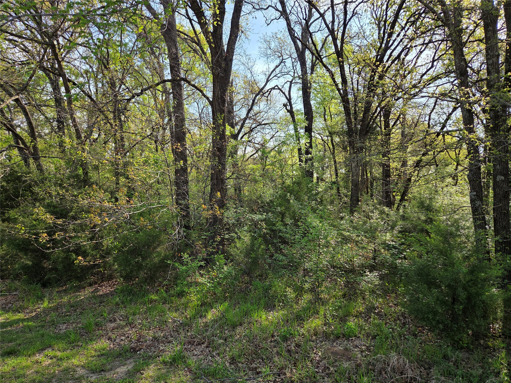 Lot 97 Tonkawa Trail