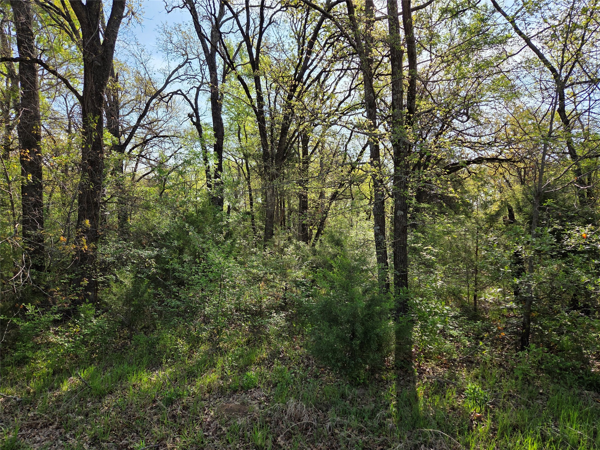 Lot 97 Tonkawa Trail