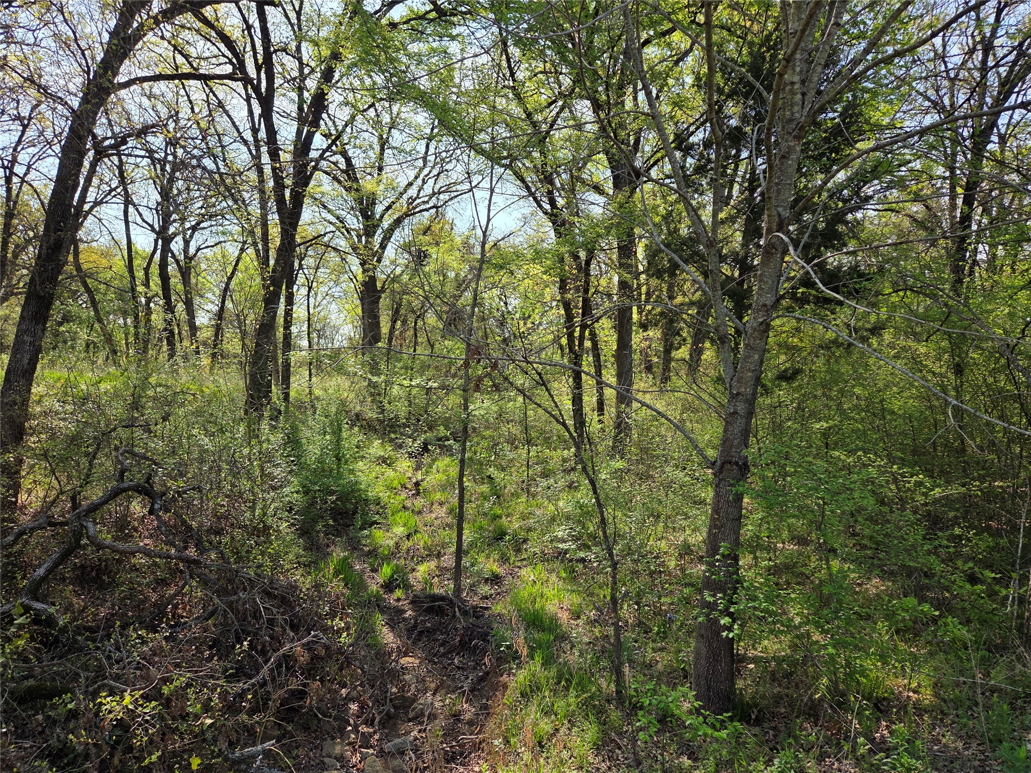 Lot 97 Tonkawa Trail