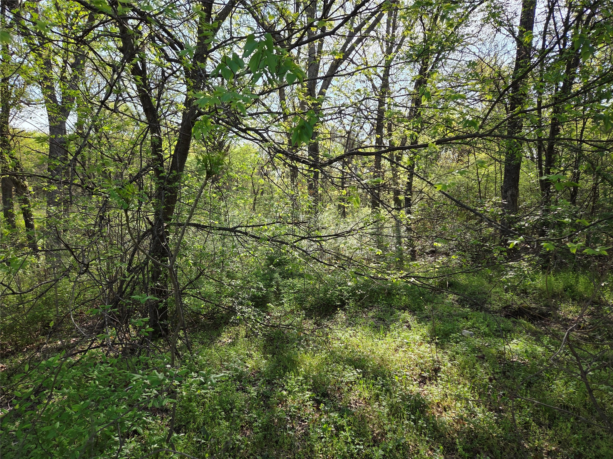 Lot 97 Tonkawa Trail