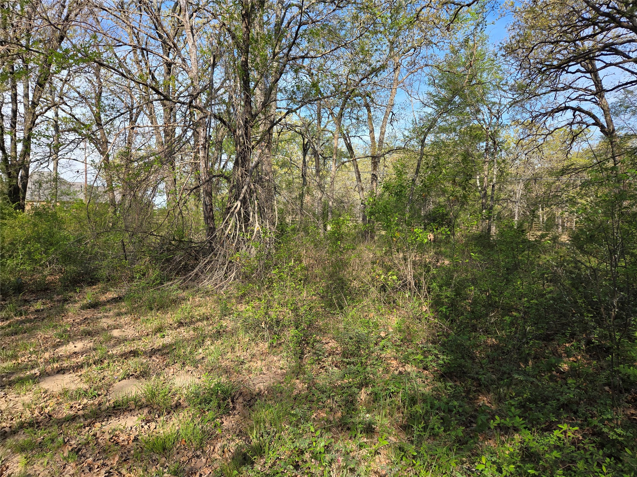 Lot 97 Tonkawa Trail