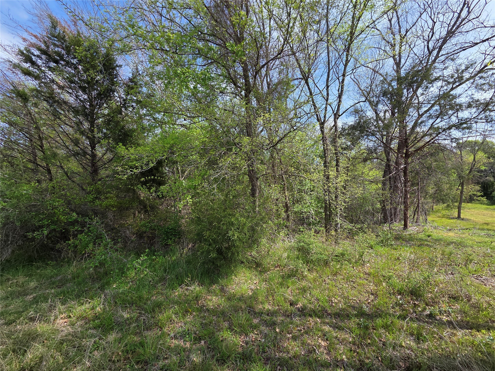 Lot 95 Stillwater Shores Drive