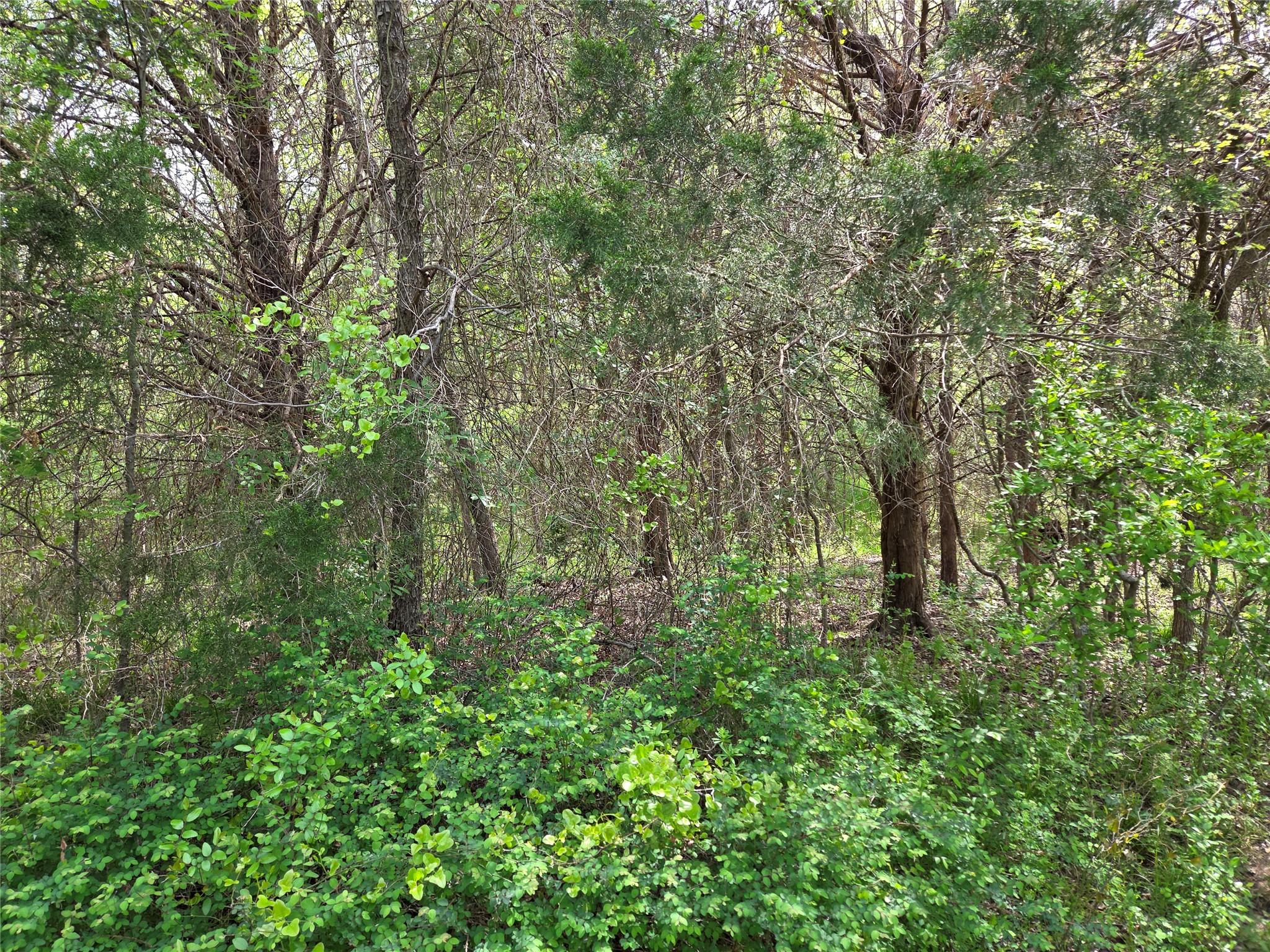 Lot 95 Stillwater Shores Drive