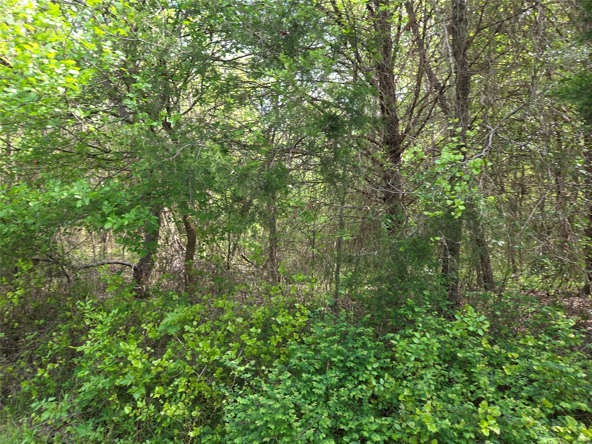 Lot 95 Stillwater Shores Drive