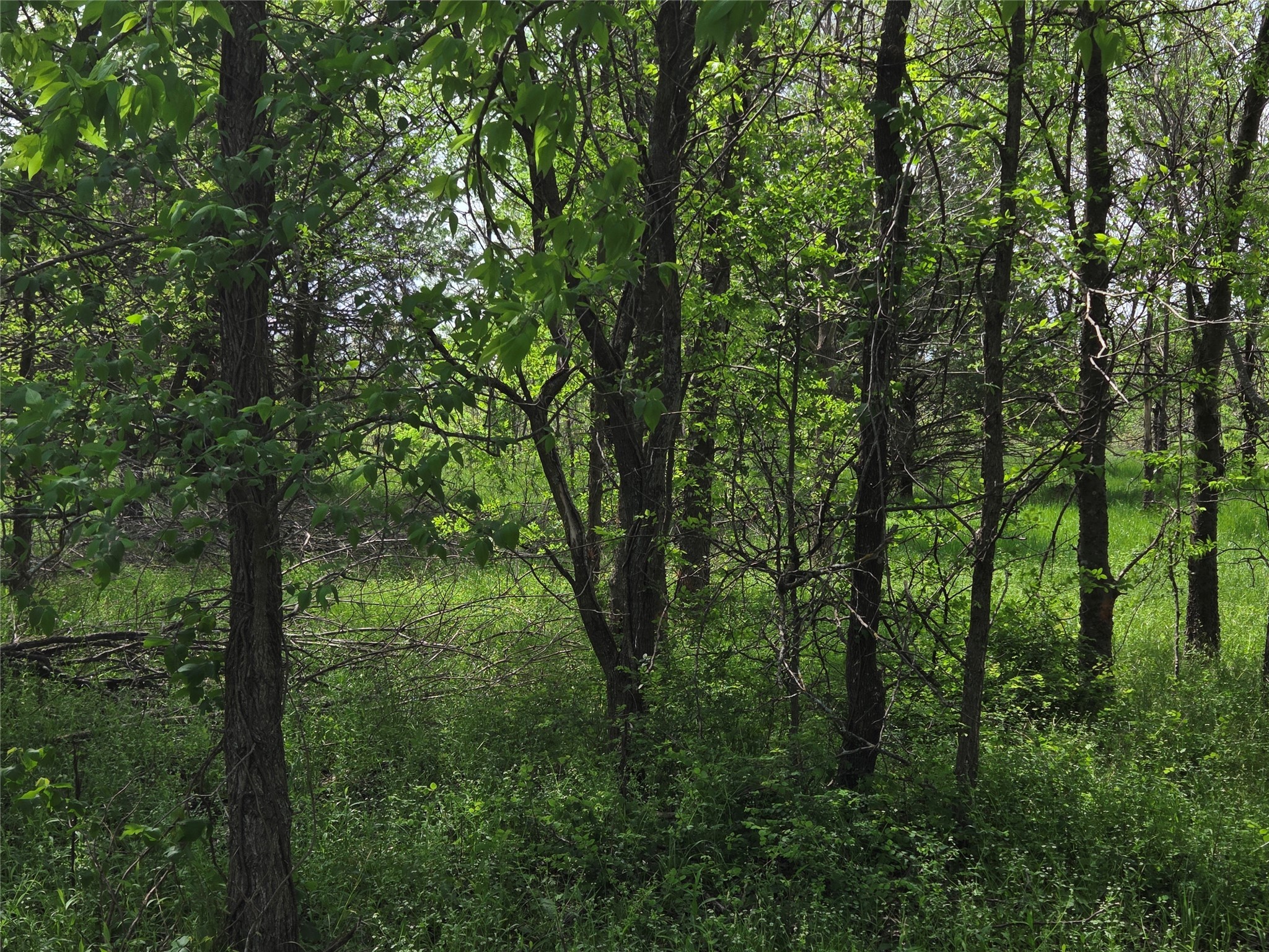 Lot 5 SE County Rd.3048A