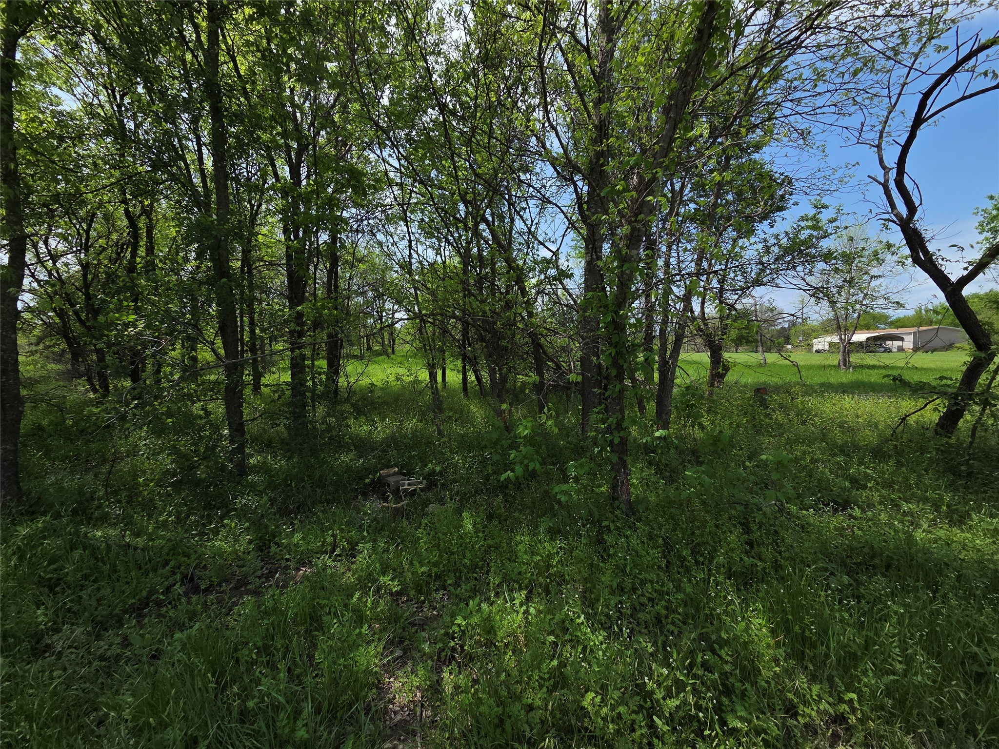 Lot 5 SE County Rd.3048A