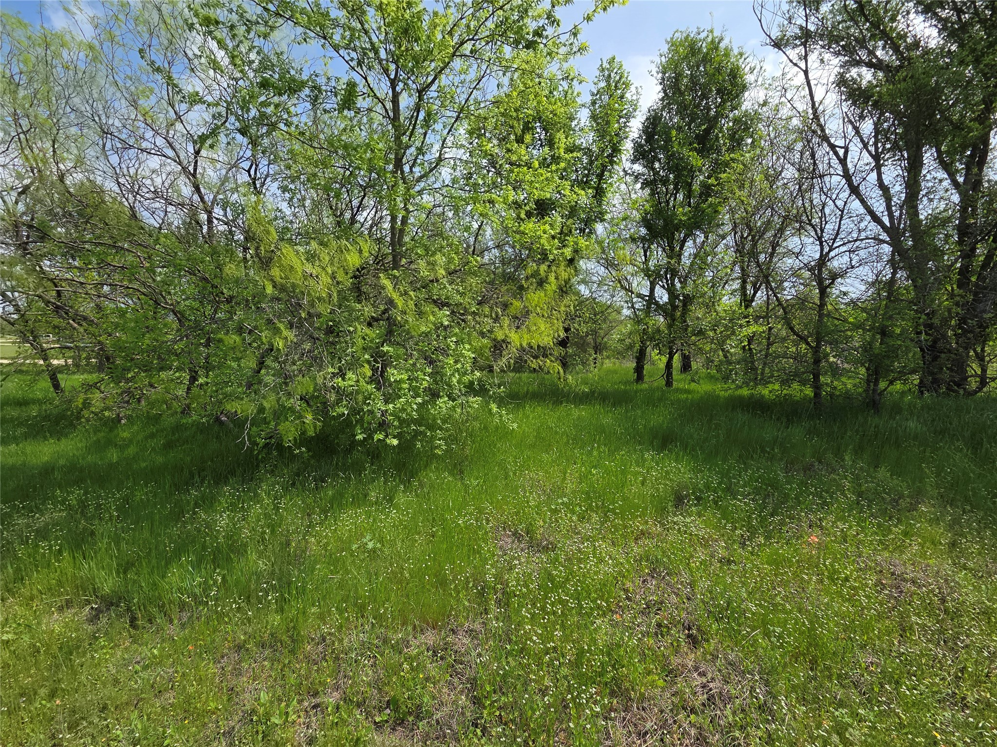 Lot 5 SE County Rd.3048A