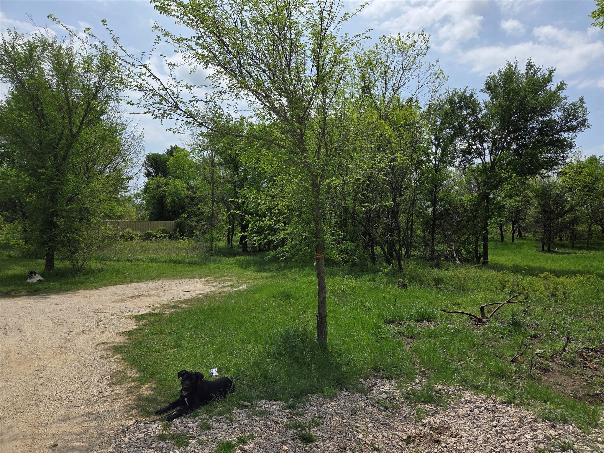 Lot 5 SE County Rd.3048A