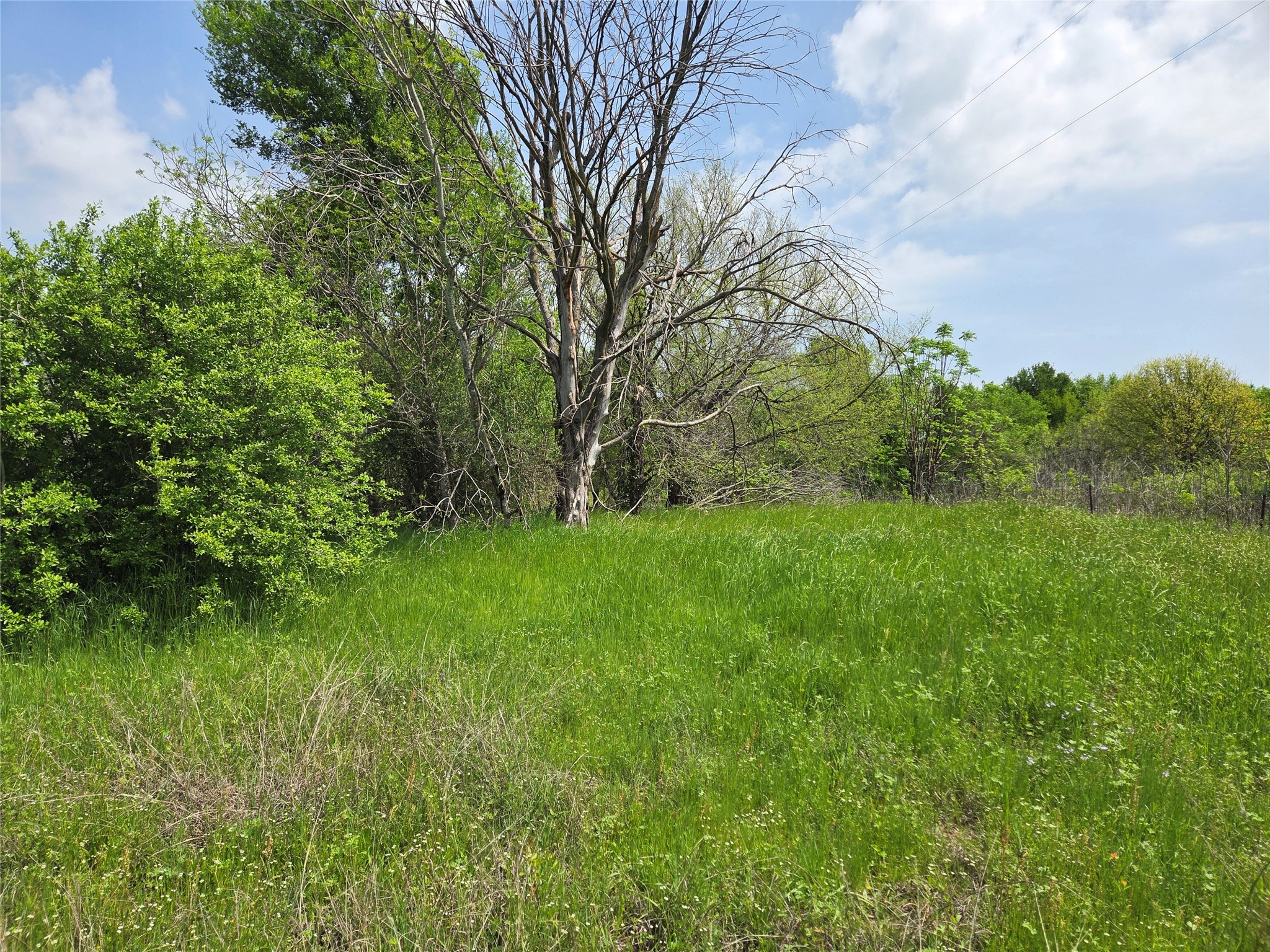 Lot 5 SE County Rd.3048A