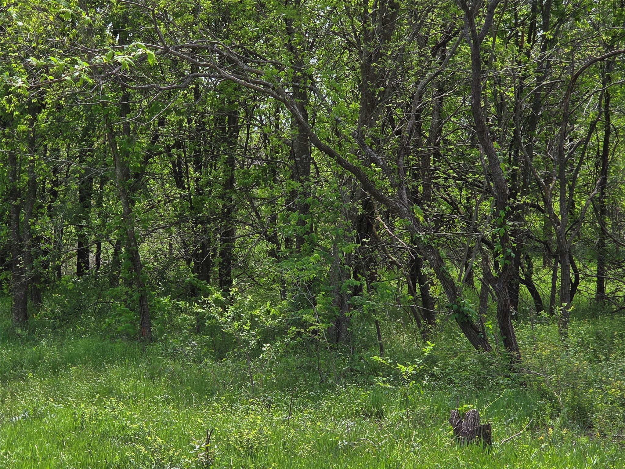 Lot 5 SE County Rd.3048A