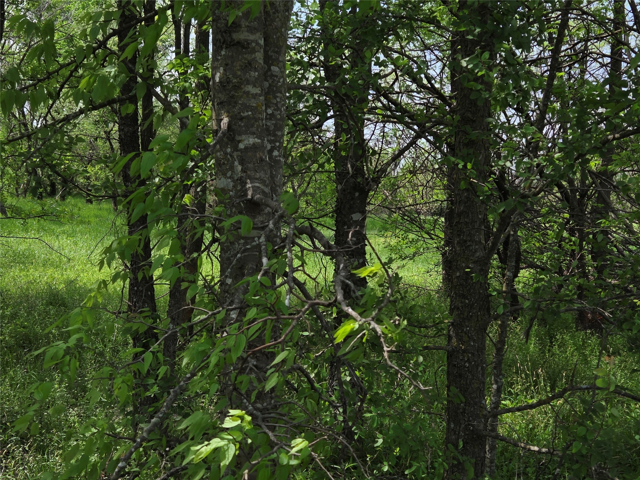 Lot 5 SE County Rd.3048A