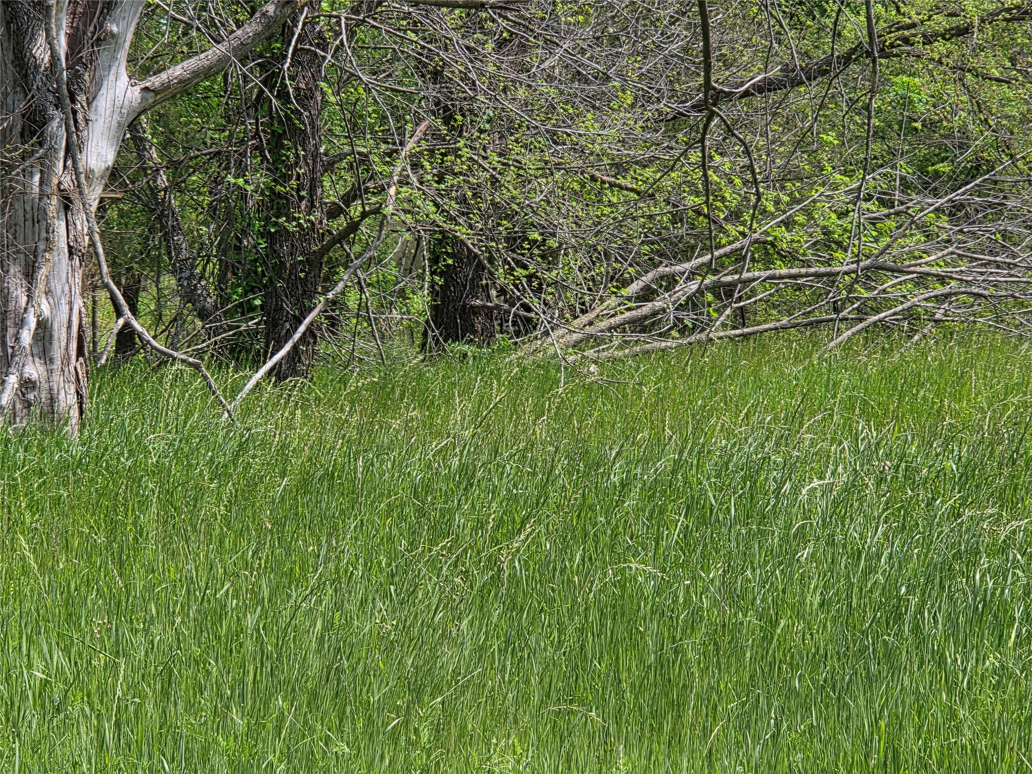 Lot 5 SE County Rd.3048A