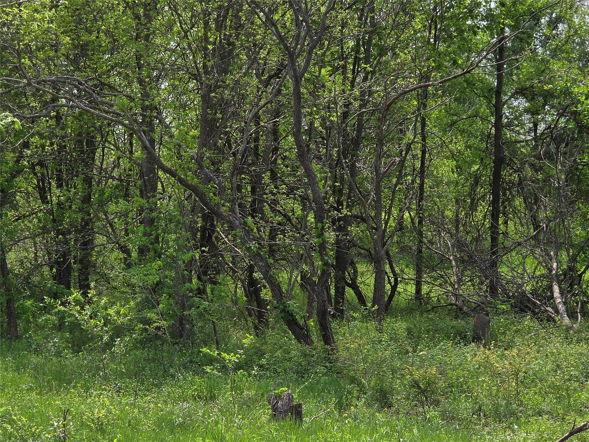 Lot 5 SE County Rd.3048A