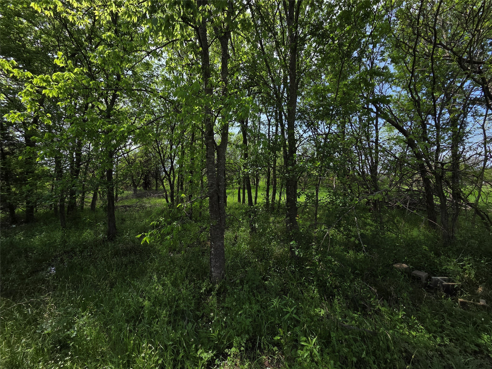 Lot 5 SE County Rd.3048A