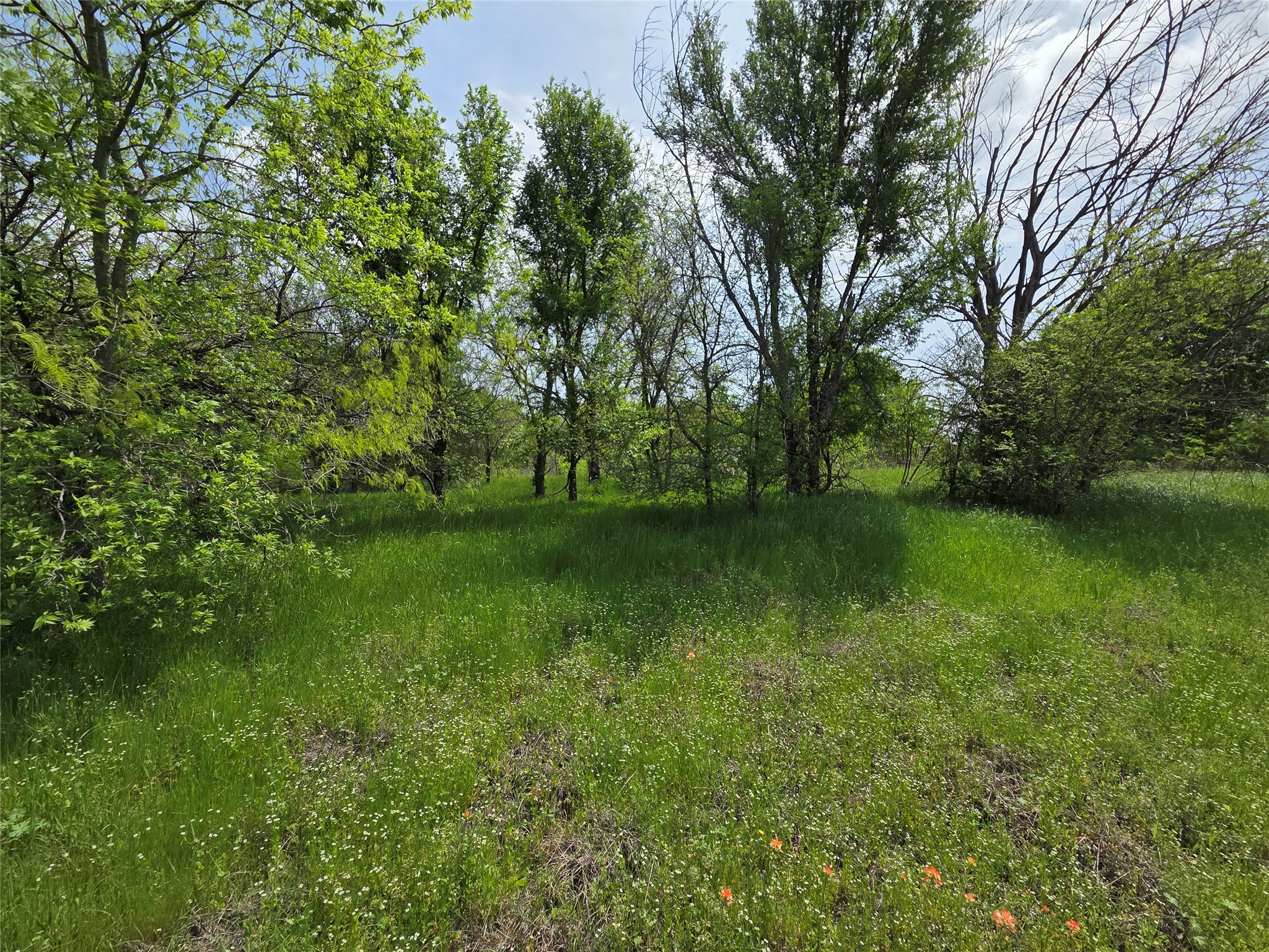 Lot 5 SE County Rd.3048A