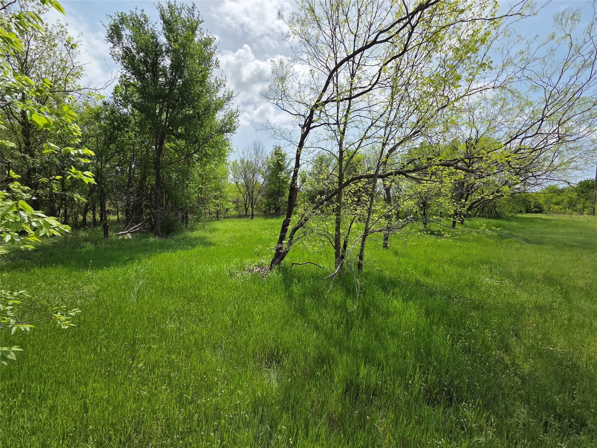 Lot 5 SE County Rd.3048A