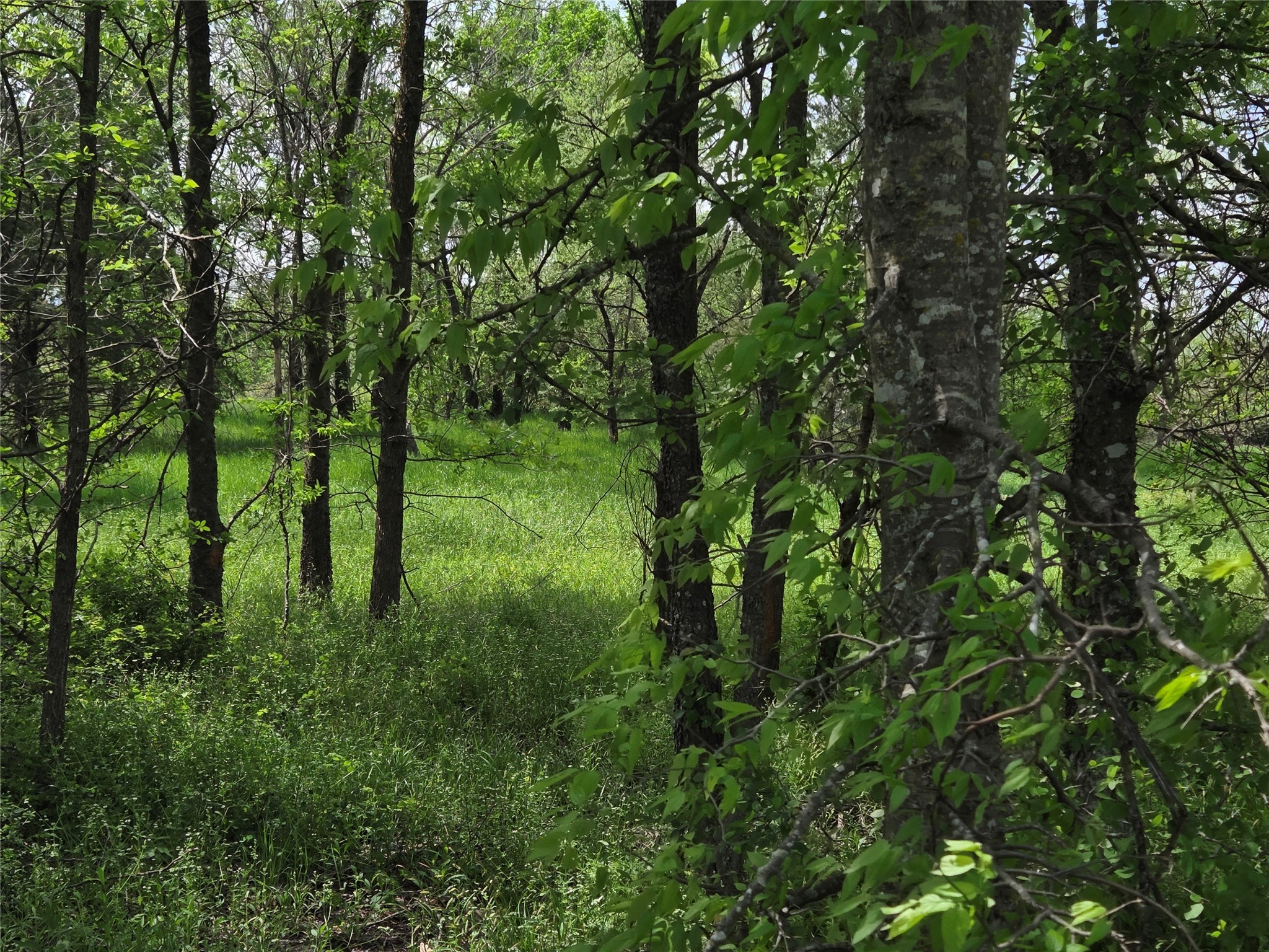 Lot 5 SE County Rd.3048A