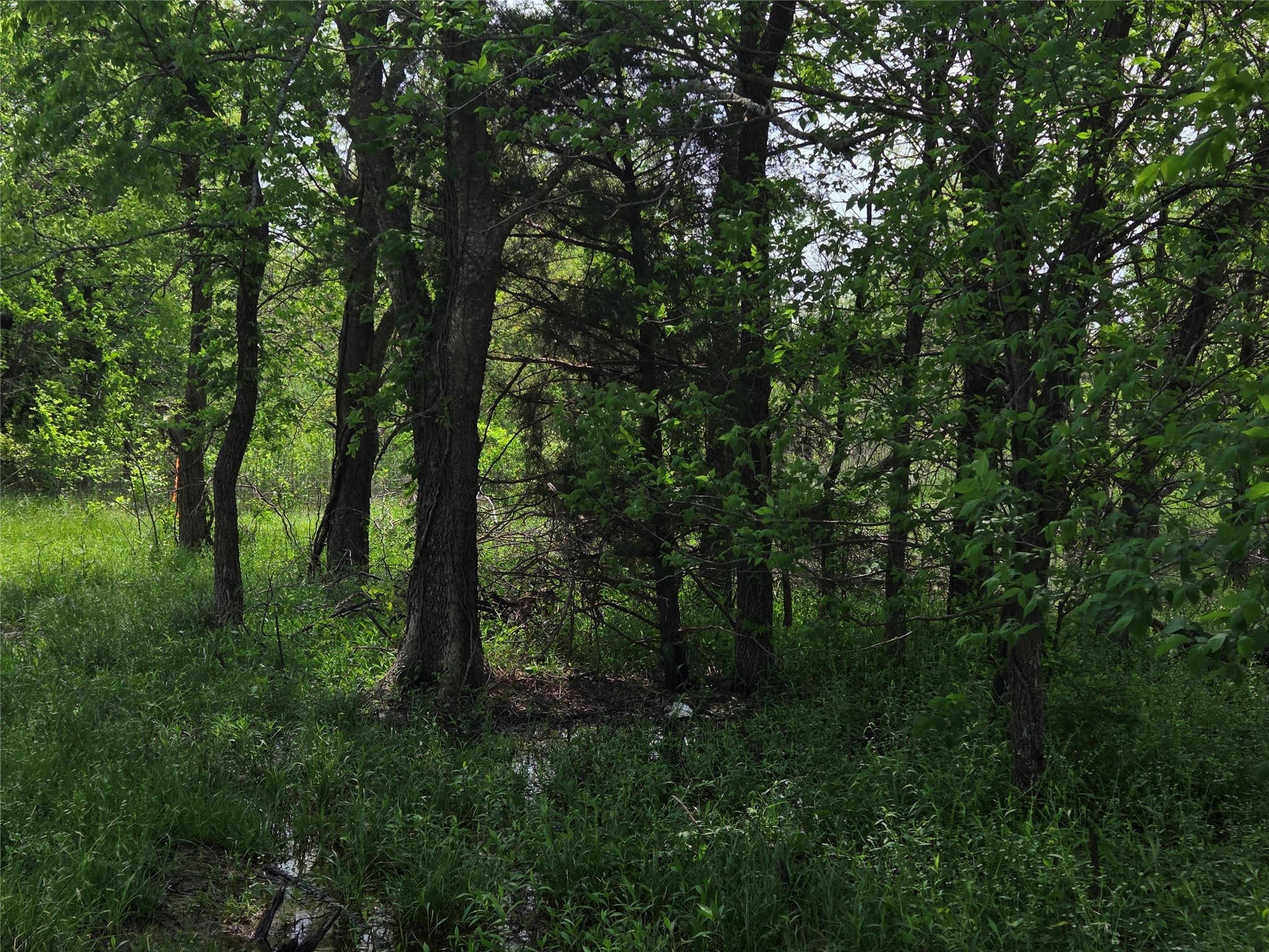 Lot 5 SE County Rd.3048A