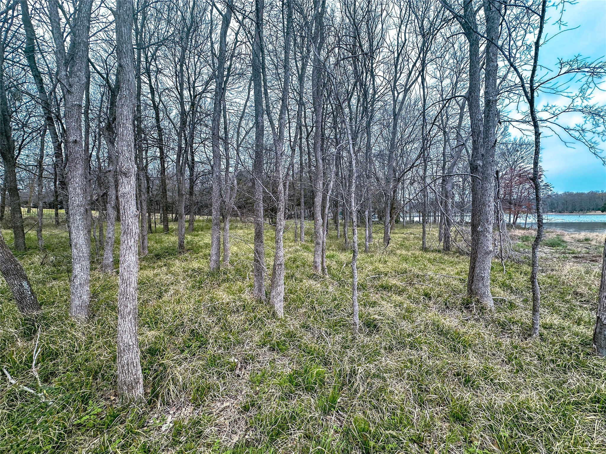 Lot 249 The Shores Drive
