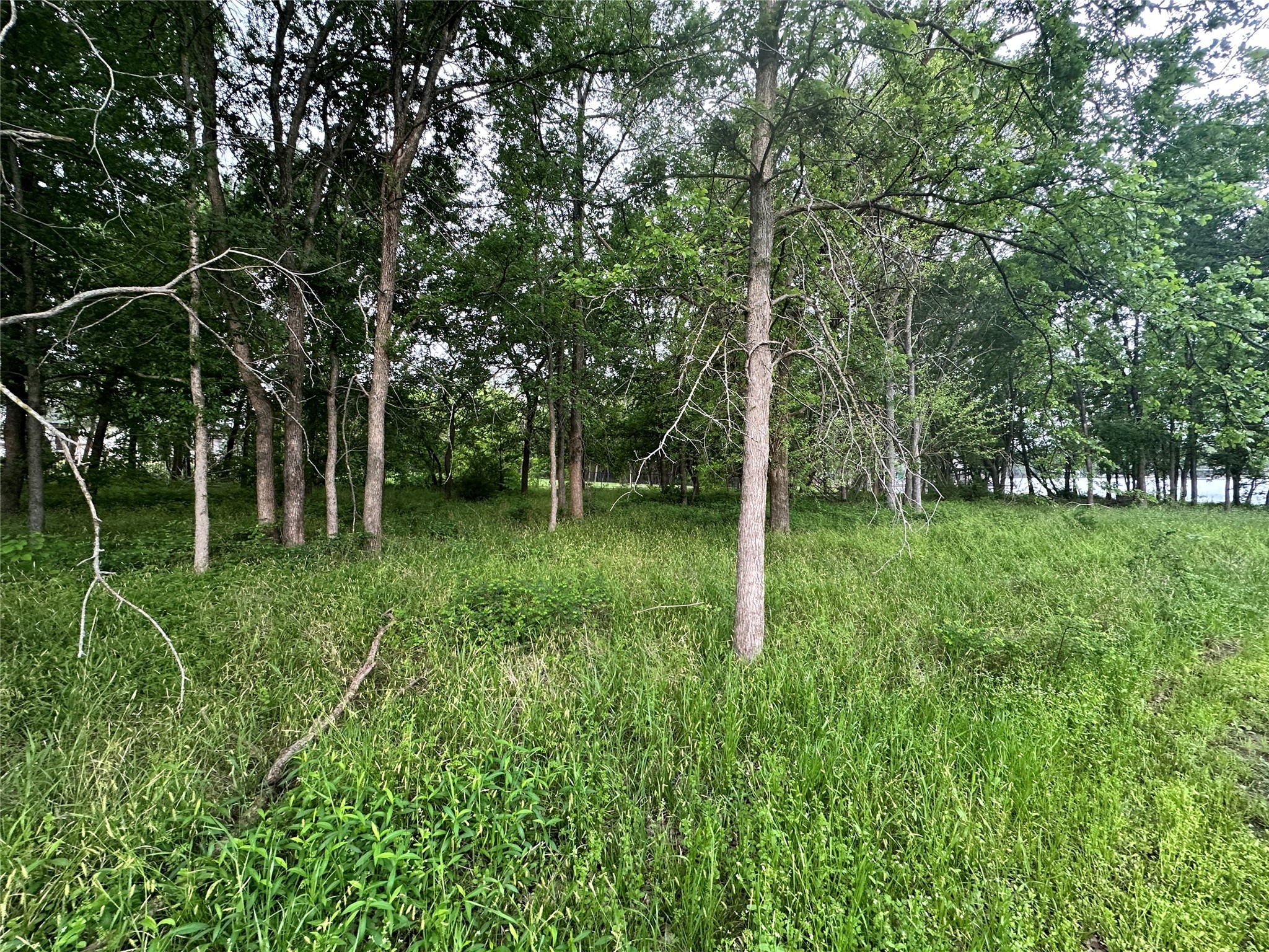 Lot 249 The Shores Drive