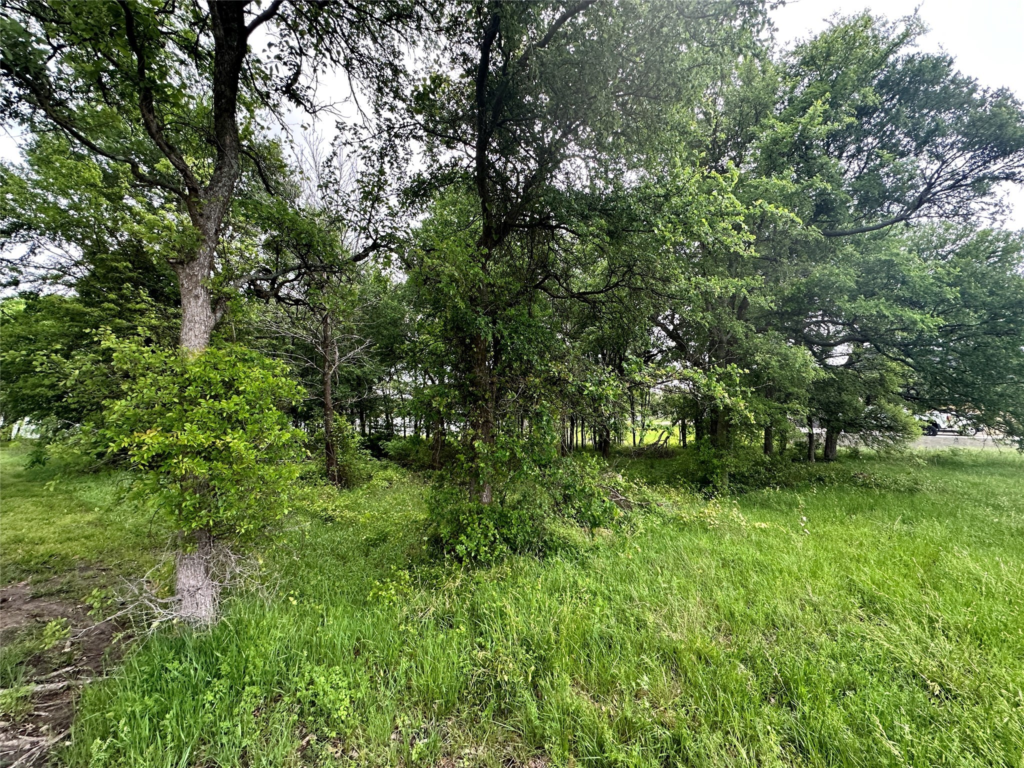 Lot 249 The Shores Drive