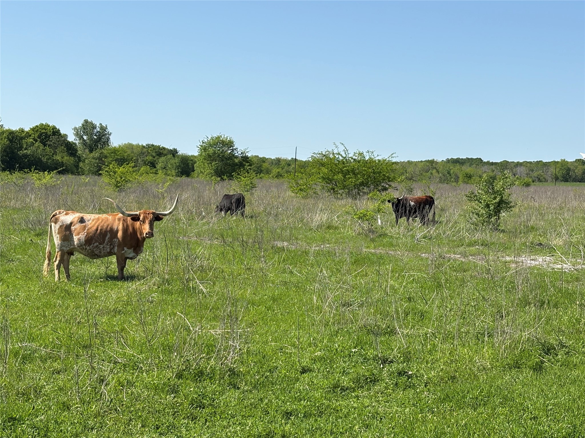 1500 Private Road 8496