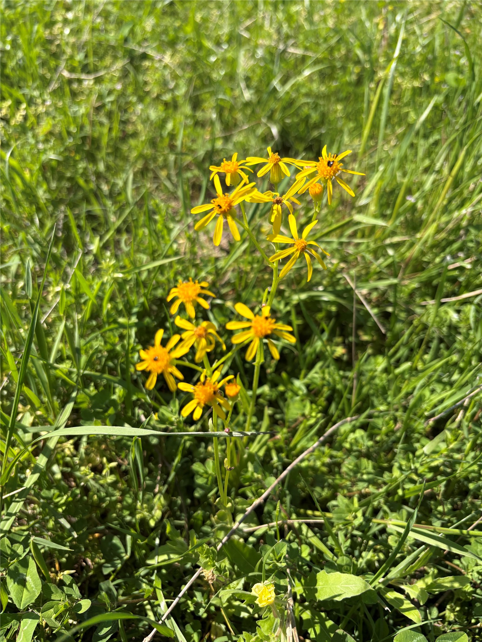 1500 Private Road 8496