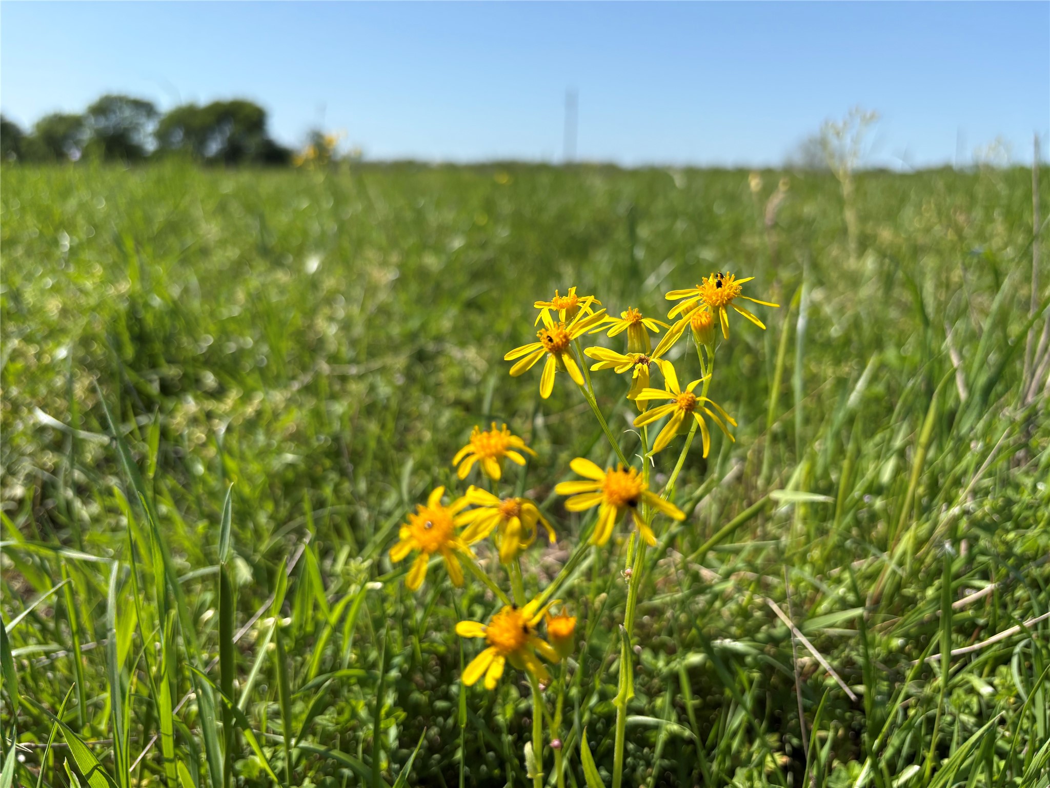 1500 Private Road 8496