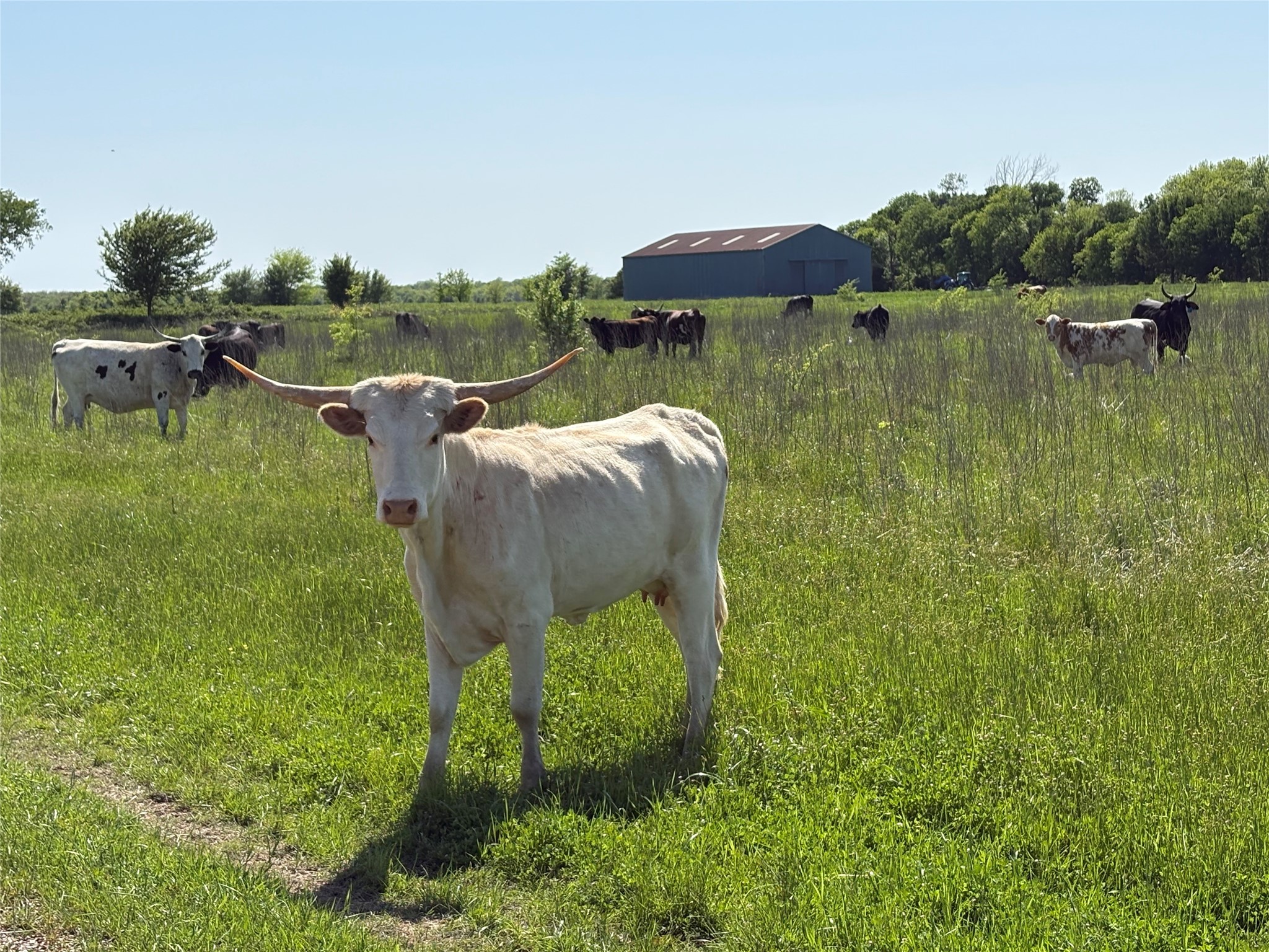 1500 Private Road 8496