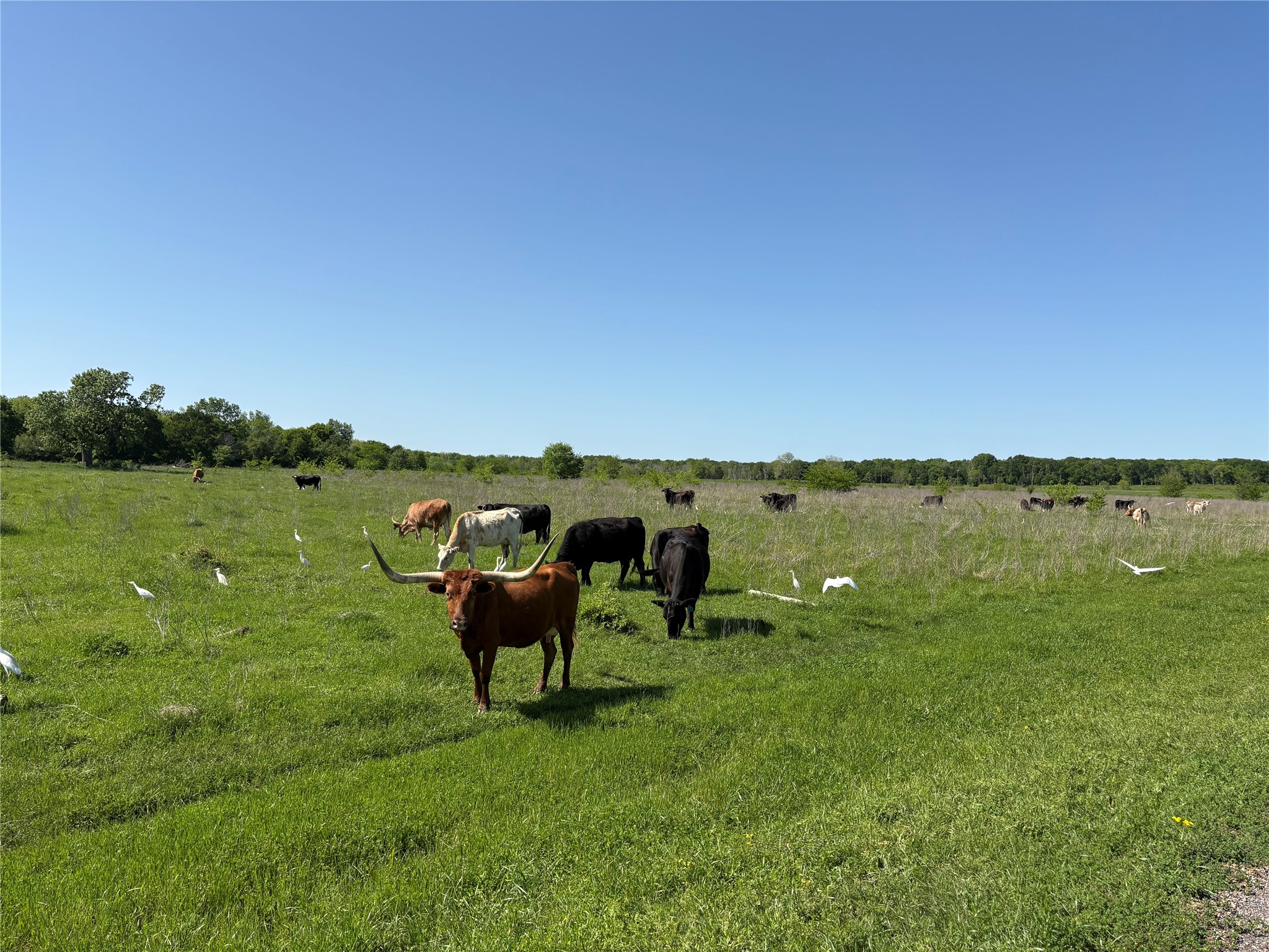 1500 Private Road 8496