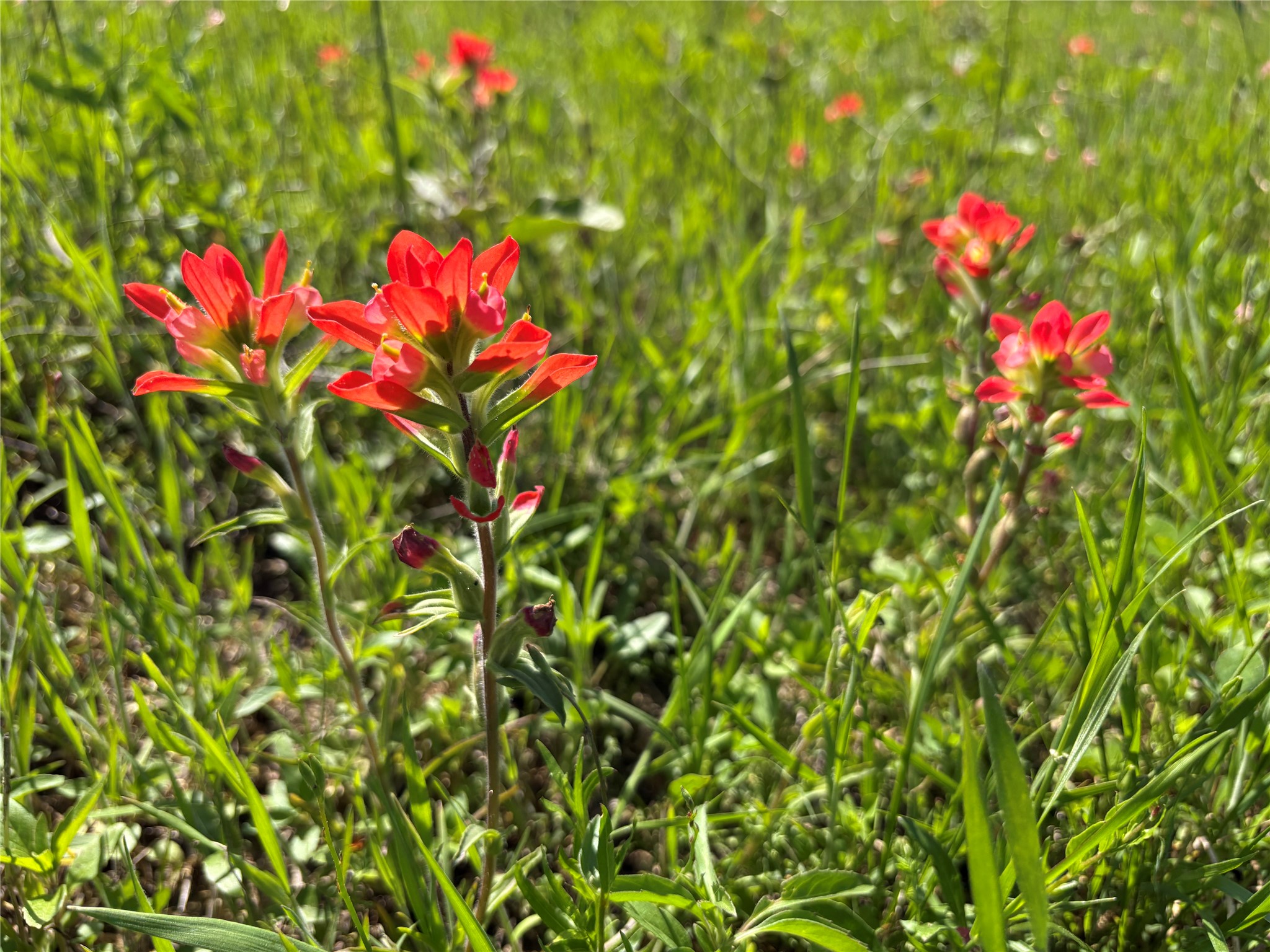 1500 Private Road 8496