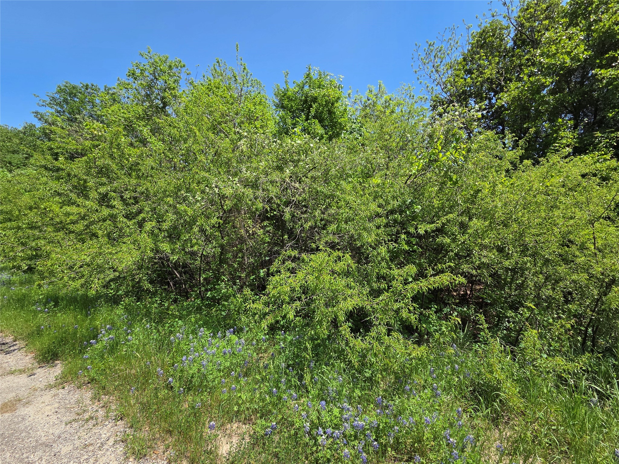 Lot 2 SE CR 3258