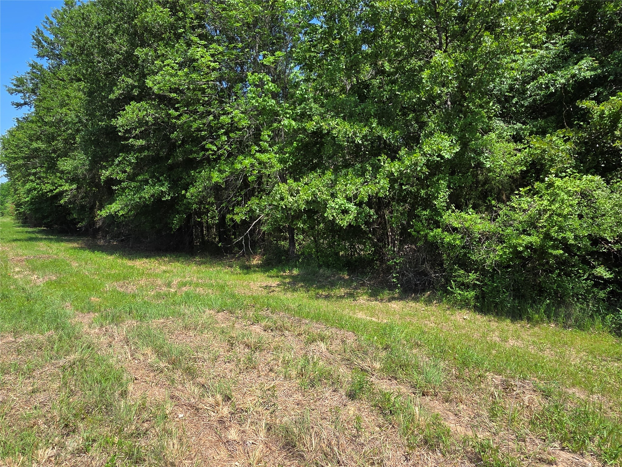 Lot 2 SE CR 3258