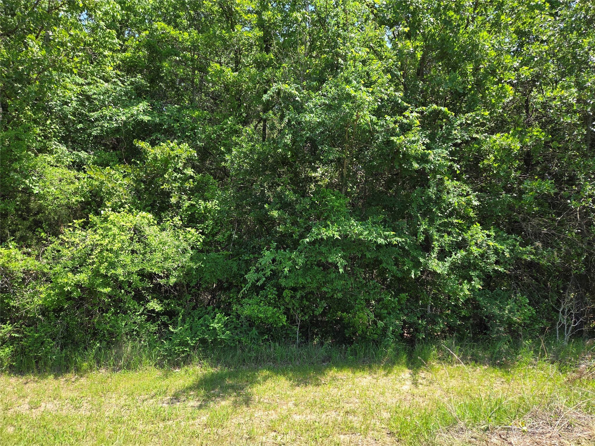 Lot 2 SE CR 3258