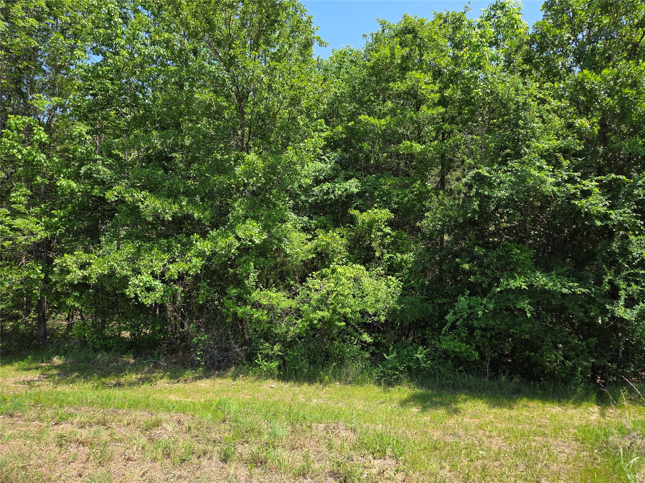 Lot 2 SE CR 3258