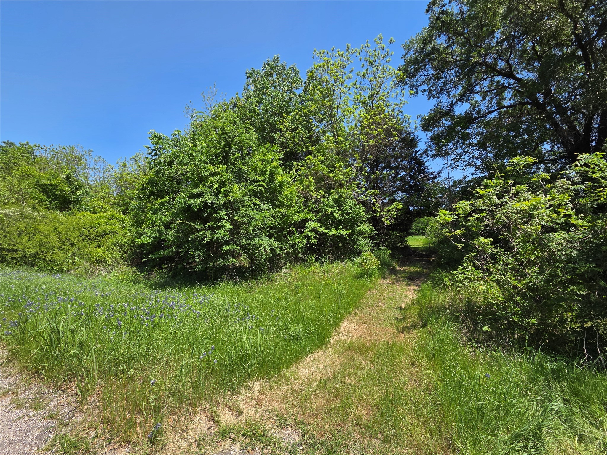 Lot 2 SE CR 3258