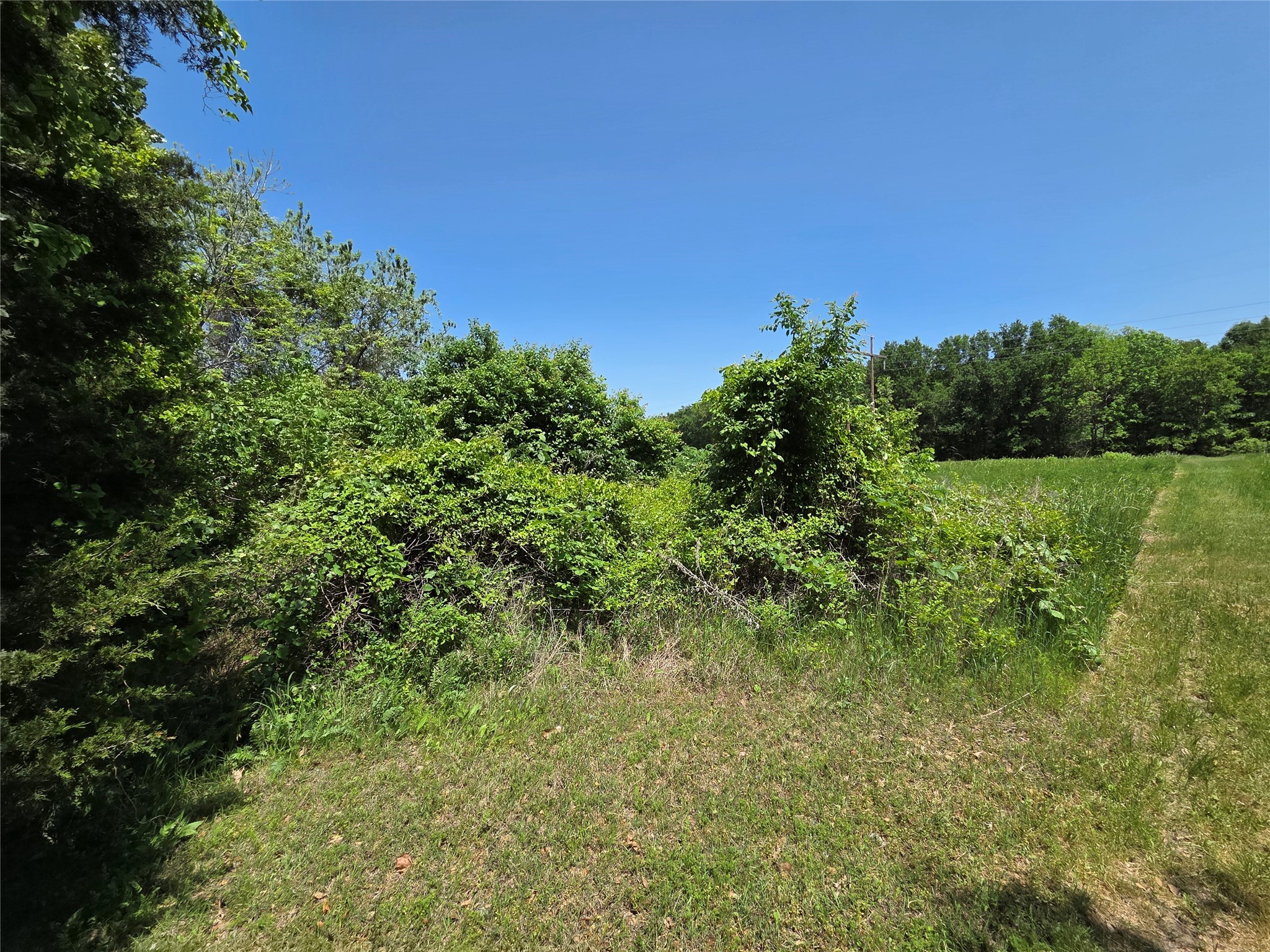 Lot 2 SE CR 3258