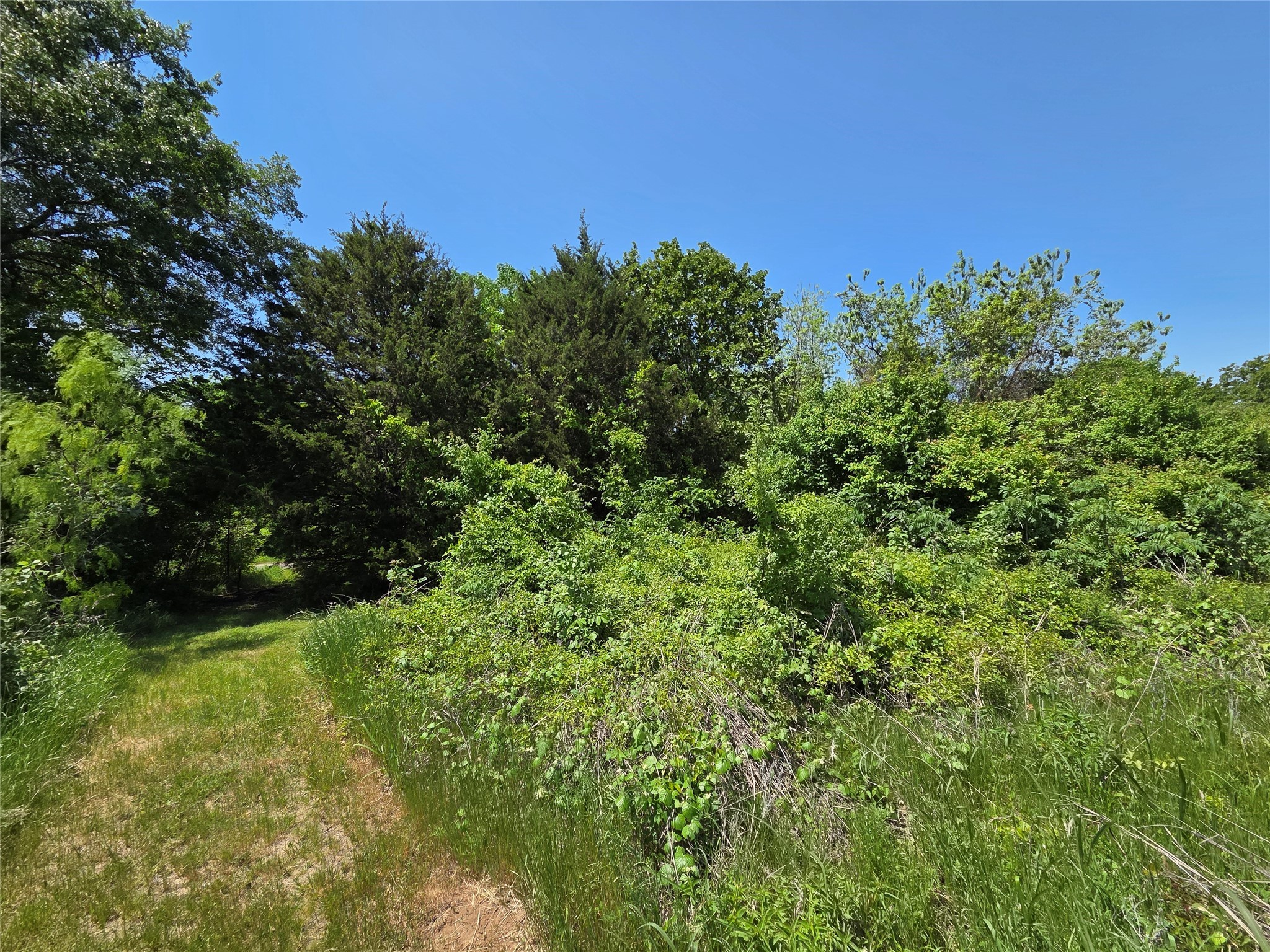 Lot 2 SE CR 3258