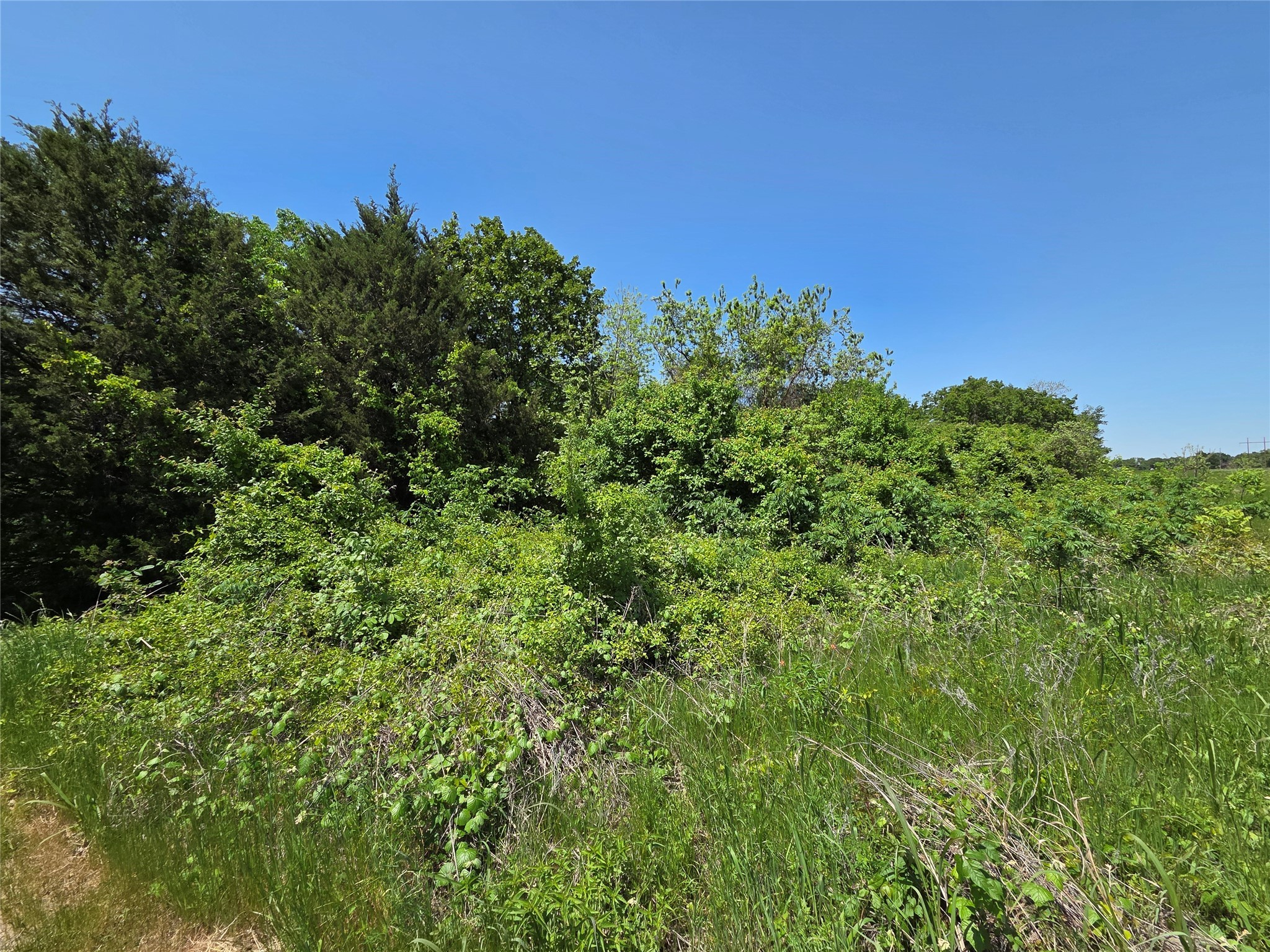Lot 2 SE CR 3258