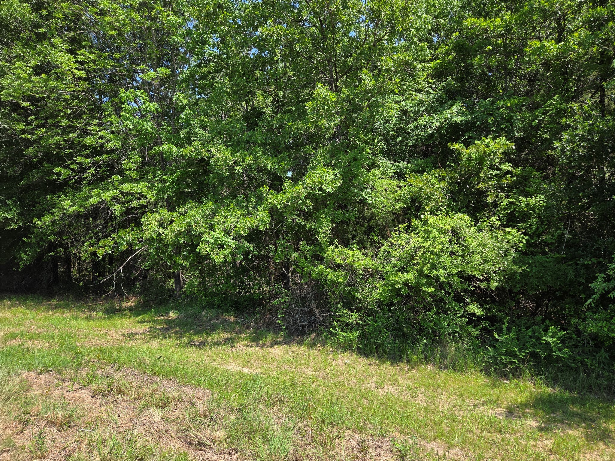 Lot 2 SE CR 3258
