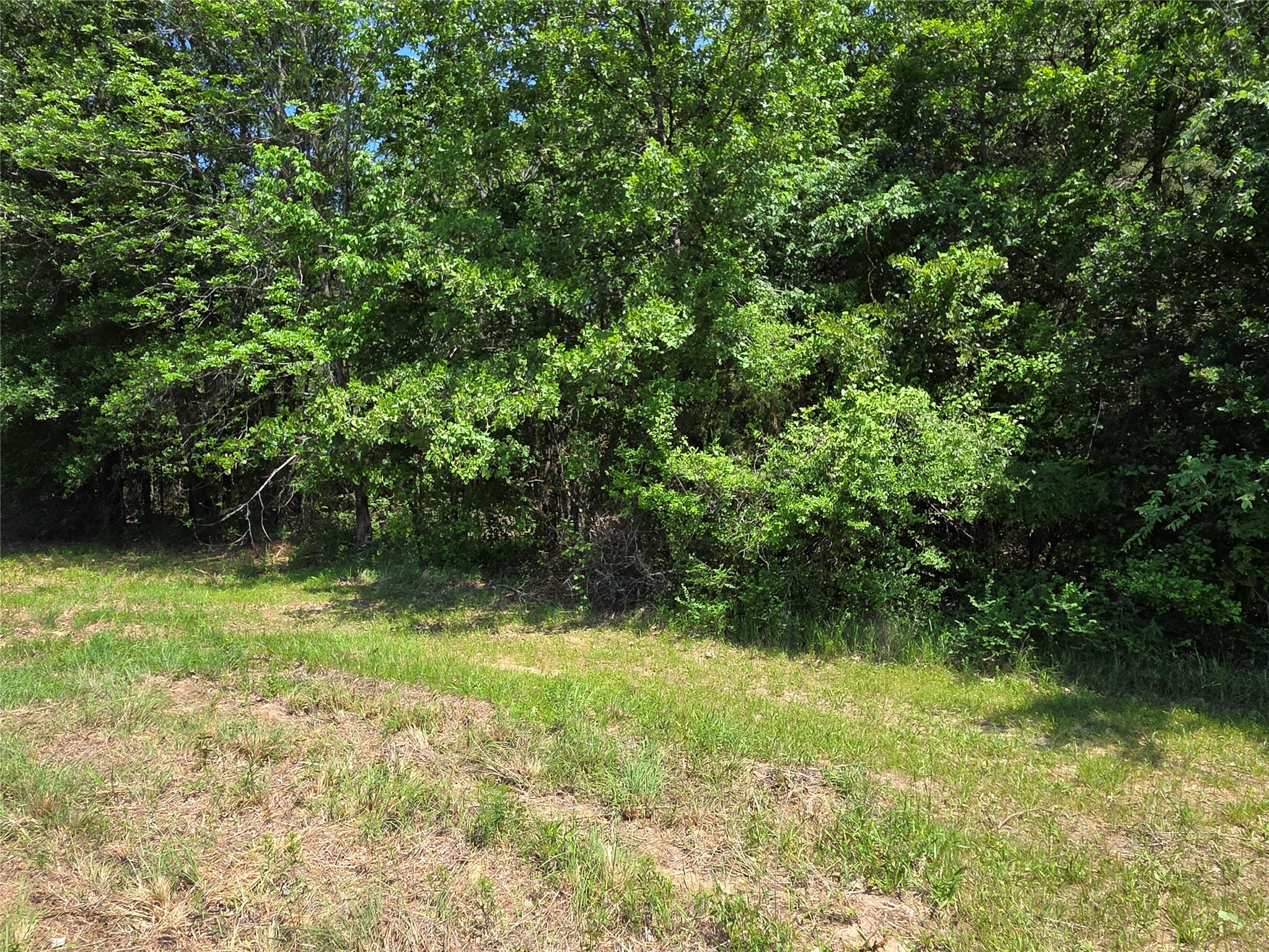 Lot 2 SE CR 3258
