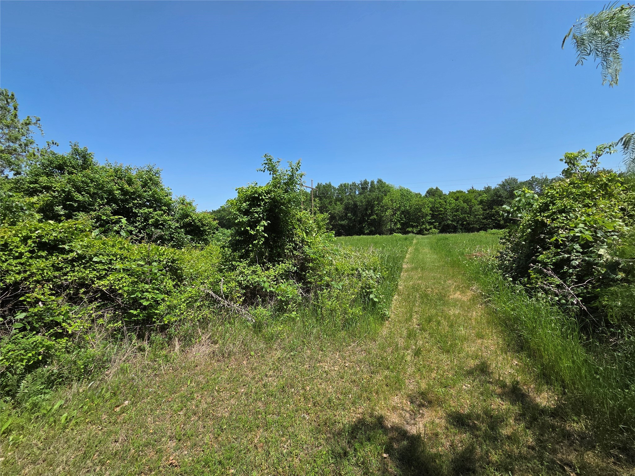 Lot 2 SE CR 3258
