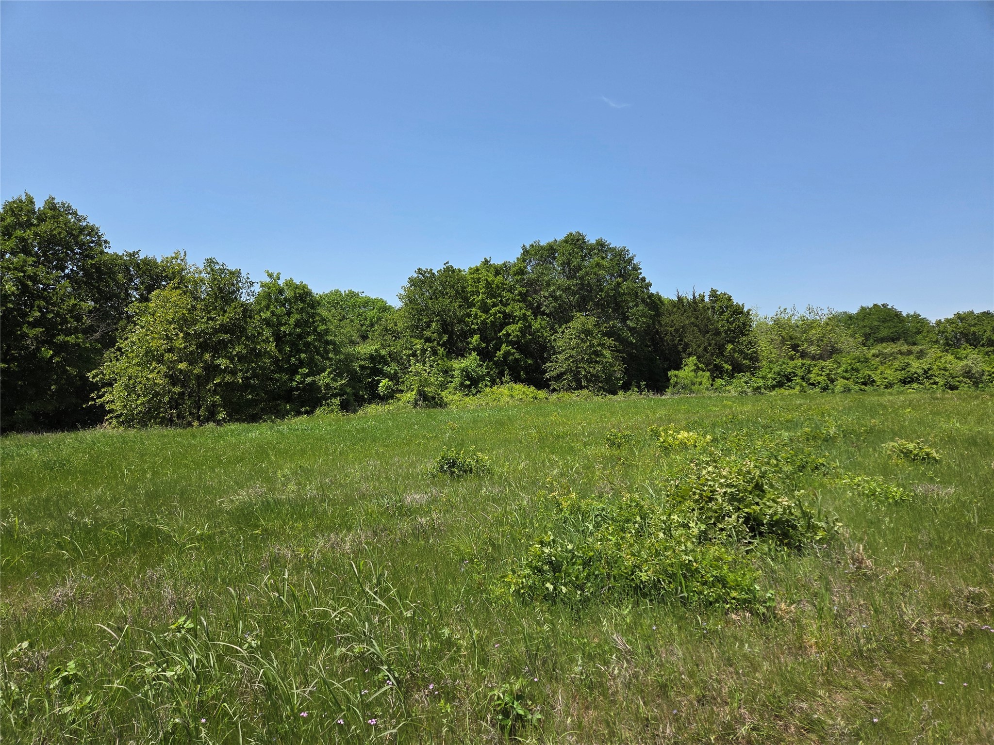 Lot 2 SE CR 3258