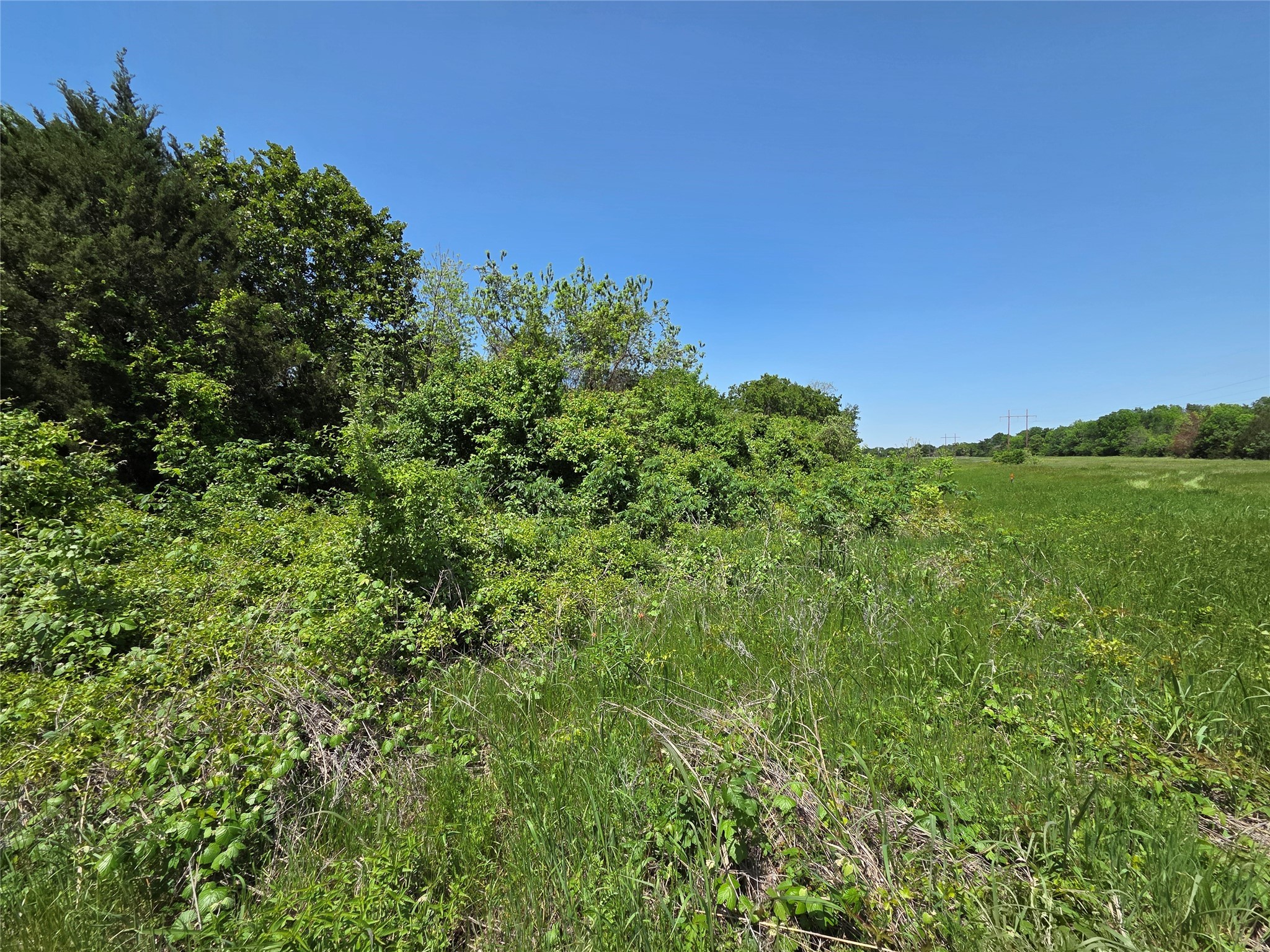 Lot 2 SE CR 3258